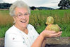 当地时间2013年9月13日，英国拉德洛，一名73岁的老太Dorothea Clinton挖出了一颗形似小鸭子的土豆。本来她是想挖土豆做晚饭的，但是这个小鸭子形状的土豆看起来令人忍俊不禁。swns/视觉中国