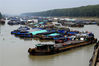 2019年8月7日，江苏淮安，受干旱影响，洪泽湖高良涧船闸下游苏北灌溉总渠河面上已经停满了滞留的运输船舶。