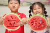 2019年8月8日，江苏省常州市西林街道东岱社区的小朋友在吃西瓜“啃秋”。陈暐/视觉中国