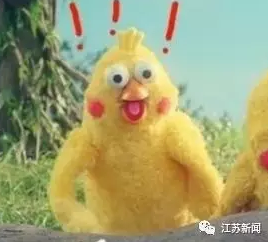 大爷养了4只公鸡每天听打鸣，美滋滋！不料惊动警察：你犯法了！