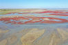 2019年9月14日，新疆博州，航拍艾比湖的红海滩。红海滩地处精河入艾比湖的入水口，水口处长有许多碱蓬草，一到秋季，碱蓬草红艳似火，景色十分秀美，被当地人称为“红海滩”。