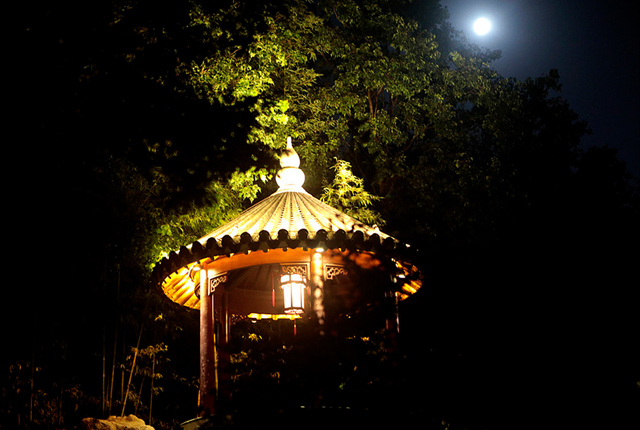 上海古猗园中秋开启夜游模式 吸引市民观灯赏月