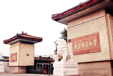 寻找发光的你 | 紫金奖·中国（南京）大学生设计展高校宣讲会本