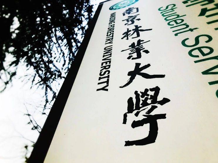 我们看到了发光的你 | 紫金奖?中国（南京）大学生设计展高校宣讲