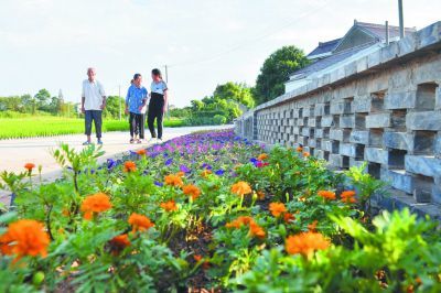 南京推进农村垃圾分类 努力打造长三角最洁净美丽乡村