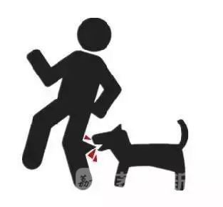 接种完狂犬疫苗后又被狗咬了，还要再接种吗？