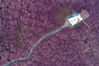 2019年9月28日，江苏省淮安市白马湖森林公园，成片的粉黛乱子草开放如紫色的海洋。初秋的白马湖森林公园景色迷人，嗨皮西提生态乐园中的粉黛乱子草进入最佳观赏期。