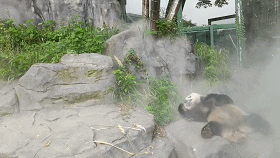 食欲不佳性情大变，4岁姐妹花怀孕了？尴尬：人家都没谈过恋爱呢