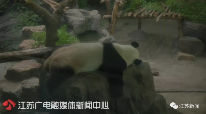 食欲不佳性情大变，4岁姐妹花怀孕了？尴尬：人家都没谈过恋爱呢