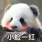 食欲不佳性情大变，4岁姐妹花怀孕了？尴尬：人家都没谈过恋爱呢