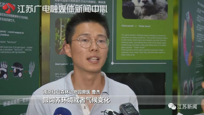 食欲不佳性情大变，4岁姐妹花怀孕了？尴尬：人家都没谈过恋爱呢