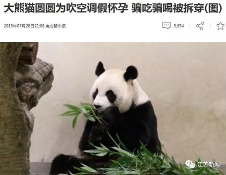 食欲不佳性情大变，4岁姐妹花怀孕了？尴尬：人家都没谈过恋爱呢