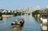 2019年9月8日，江苏南通，一艘艘货船穿梭在风景如画的如泰运河如皋段。