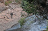 在江西九连山国家级自然保护区，陈志高带着他的相机准备过一条小河进入密林深处拍摄鸟类（1月8日摄）。新华社记者 彭昭之 摄
