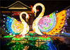2020年1月17日，在南京老门东拍摄的花灯。
今年秦淮灯会共设白鹭洲公园、夫子庙、十里秦淮、老门东、瞻园、明城墙、大报恩寺、愚园、公共氛围等9个展区。