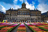 当地时间2020年1月18日，荷兰阿姆斯特丹，荷兰郁金香节在水坝广场的皇家宫殿前举行，标志着郁金香花季正式开始，游人可在20万株郁金香花海中徜徉拍照，并可免费采摘。编辑/刘元