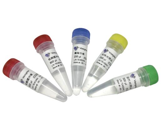 日生产50万份检测试剂盒 这家爱心企业愿意免费赠送