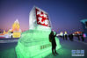 1月5日，游客在冰雪大世界园区游览。新华社记者 王松 摄