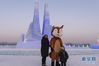 游客在哈尔滨冰雪大世界园区游玩（2019年12月23日摄）。 进入冬季以来，“冰城”哈尔滨换上“冰雪新装”，向来自世界各地的游客展现浪漫绚丽的冰雪奇观。 新华社发（谢剑飞 摄）