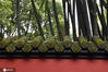 2020年10月15日，四川，成都武侯祠藏着一道“网红墙”，鲜艳的红色和翠竹的绿搭配起来韵味十足。