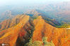 2020年10月15日，随着霜降节气的临近，京郊植被开始褪绿泛彩，在京西门头沟的山巅之处，斑斓缤纷的色彩闪亮登场，将大山深处妆点的分外美丽。
