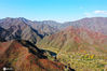 2020年10月15日，随着霜降节气的临近，京郊植被开始褪绿泛彩，在京西门头沟的山巅之处，斑斓缤纷的色彩闪亮登场，将大山深处妆点的分外美丽。
