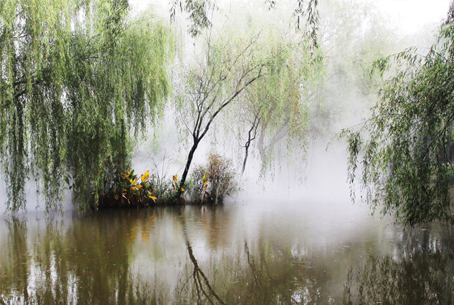 郑州植物园雾森系统宛如仙境 成网红“打卡地”