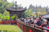 2020年10月18日，陕西西安。近日，西安挂观音禅寺的千年银杏，又变一树金黄。今日周末，众多游客前往观赏。
