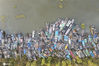 2020年10月19日，封存在江苏省淮安市洪泽区老子山镇港口的渔船。