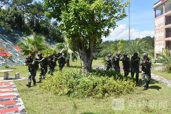 训练|军营里的秋天战味浓|荔枝军事