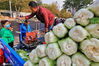 2020年10月21日，在大连市甘井子区泉水居住区，市民在采购过冬的秋菜。