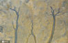 2020年10月29日，航拍江苏省东台条子泥景区滩涂湿地长出的“森林”。经过海水长时间冲刷湿地泥沙后，在大自然鬼斧神工的巨大作用力下形成的自然景观，空中航拍，犹如长出成片的湿地“森林”，令人叹为观止。徐顺超/IC photo 编辑/陈进