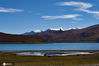 2020年10月08日，西藏山南市浪卡子县，西藏三大圣湖之一羊卓雍措（羊湖）与雪山风光。
