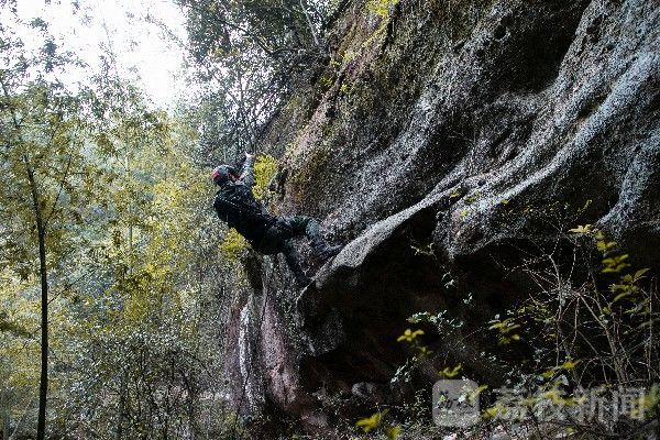 实战|“飞天山”砺剑！特战分队实战化演练火力全开|荔枝军事