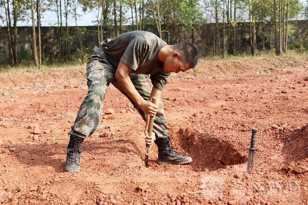 野战|加钢淬火，直击国防科大野战生存训练|荔枝军事