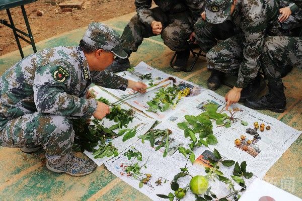 野战|加钢淬火，直击国防科大野战生存训练|荔枝军事