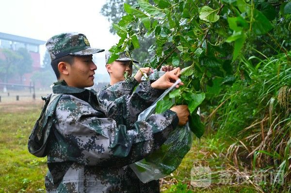 野战|加钢淬火，直击国防科大野战生存训练|荔枝军事