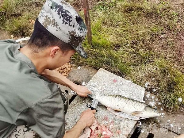 野战|加钢淬火，直击国防科大野战生存训练|荔枝军事