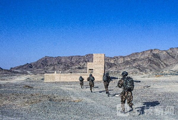 野外|加刚淬火磨利刃，野外驻训砺精兵|荔枝军事