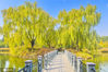 2020年11月5日， 北京，将府公园位于朝阳区酒仙桥地区东侧，2011年被评为北京精品公园，2014年国家AAA级旅游景区。公园里的野鸭湖与铁道，是每个前往该园必去的景点。秋日风光，让这里成为亮丽的观景之处。冯军/IC photo
