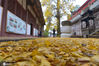 2020年10月30日，成都市金堂县云顶山慈云寺的银杏已经黄了。图为慈云寺的银杏。cdsb/IC photo

