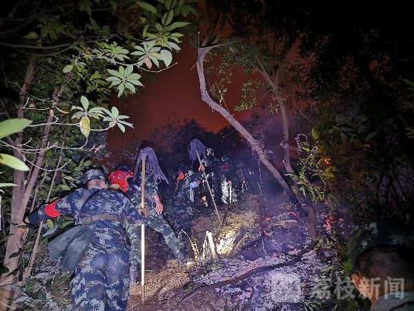 武警|羚山突发山火，武警紧急驰援|荔枝军事