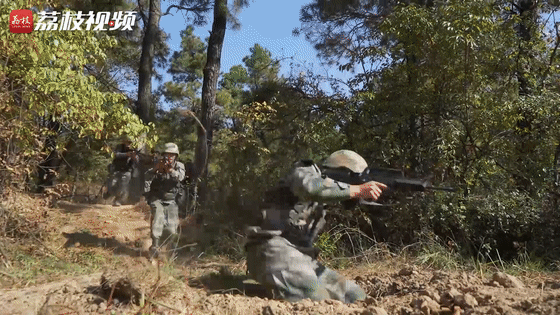 合成|合成旅红蓝对抗 淬炼多兵种协同作战能力|荔枝军事