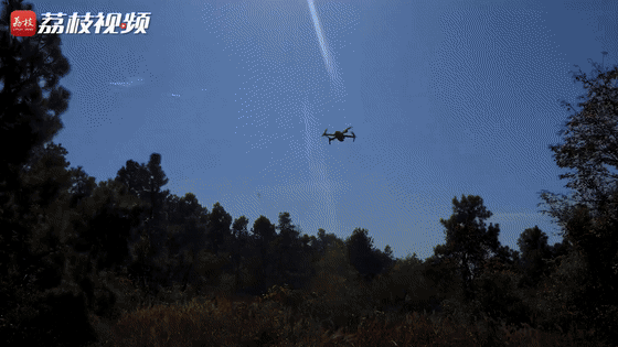 合成|合成旅红蓝对抗 淬炼多兵种协同作战能力|荔枝军事