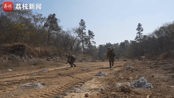 合成|合成旅红蓝对抗 淬炼多兵种协同作战能力|荔枝军事