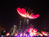2020年11月18日，广东广州，2020广州国际灯光节开幕，盛开的花朵照耀夜空。

