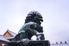 2020年11月21日，北京，今天北京市区迎来入冬第一场雪，整个城区白茫茫一片，北京秒变“北平”。故宫博物院，在大雪之中更是呈现出了另一翻美景，美不胜收。
