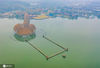 2020年11月29日清晨，航拍湖北武汉东湖秋景美如画。