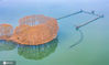 2020年11月29日清晨，航拍湖北武汉东湖秋景美如画。来源：IC photo