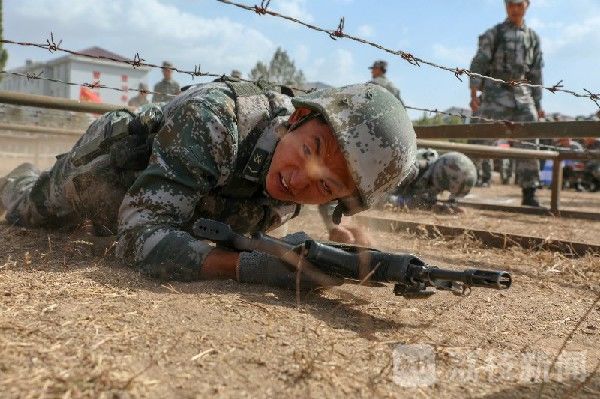 比武|连贯比武 紧盯打仗需求|荔枝军事